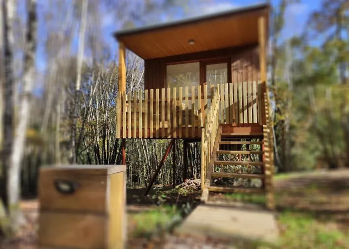 Chousas Апартаменты Луго