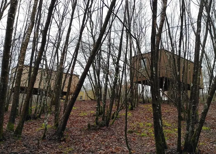 Chousas Апартаменты *